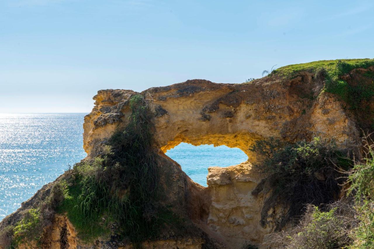 Casa Das Conchas Armação de Pêra Exterior foto
